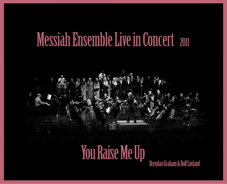 Behrad Soukhakian at the Mesaya Orchestra Concert, the piece You Raise Me Up